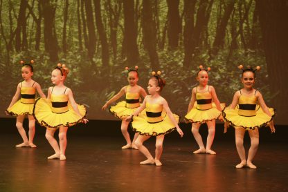 Bee Tutu