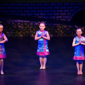 Chinese Dresses
