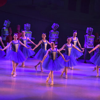 Royal Blue Tulle Dresses