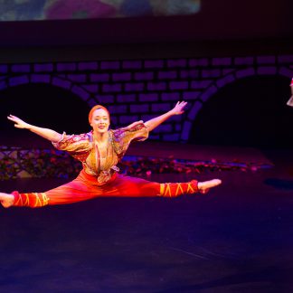 Snake Charmers