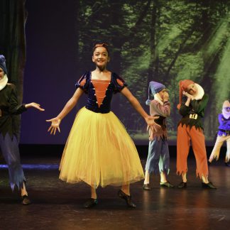 Snow White Dress