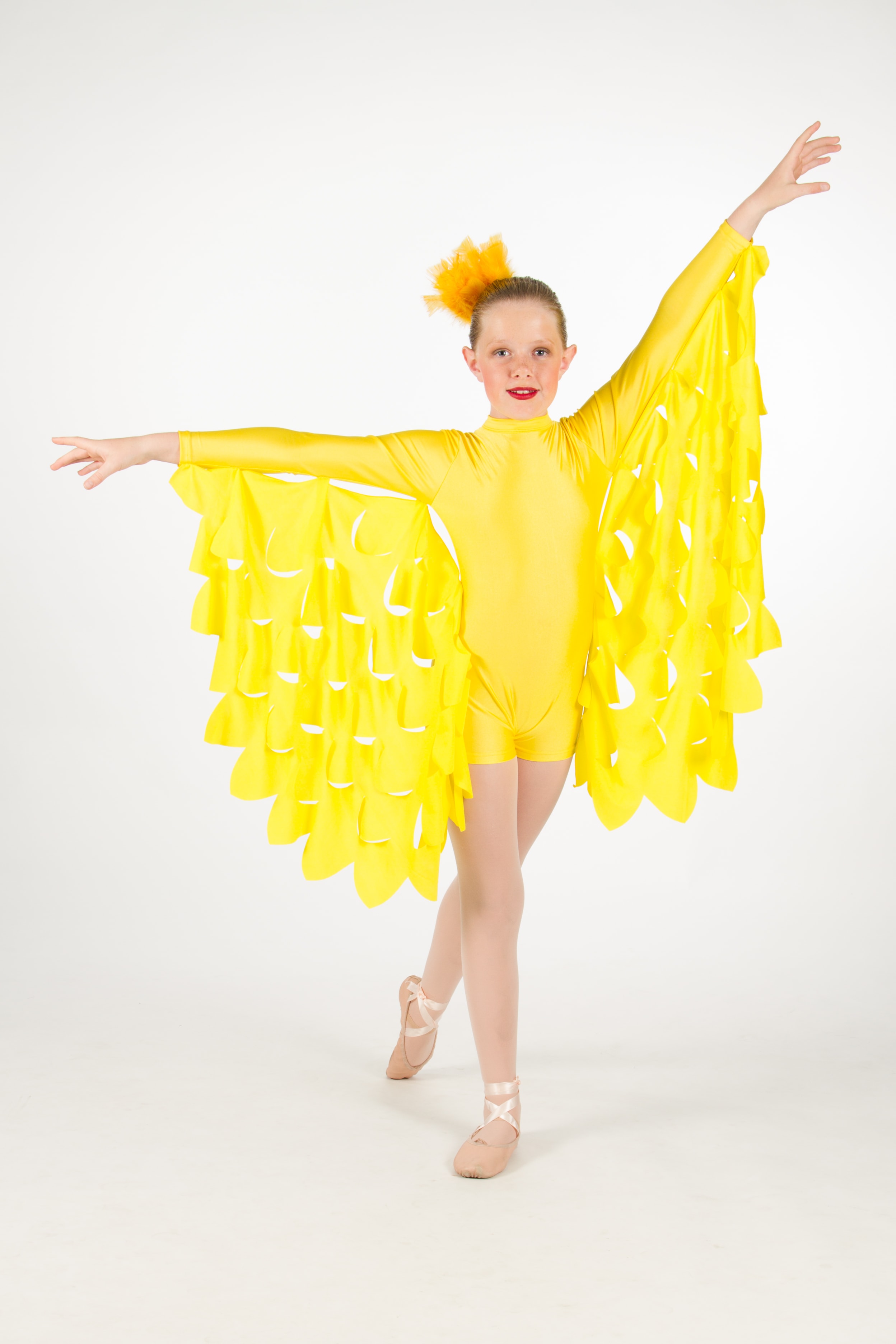 Bird dance costume sales