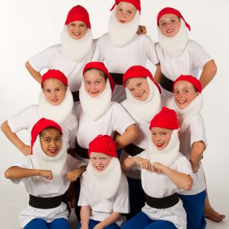 Gnomes