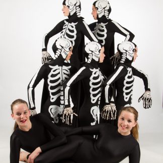 Skeleton