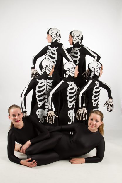 Skeleton