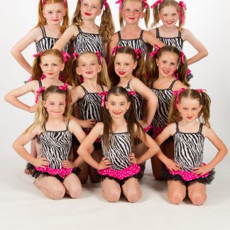 Leotard Dresses