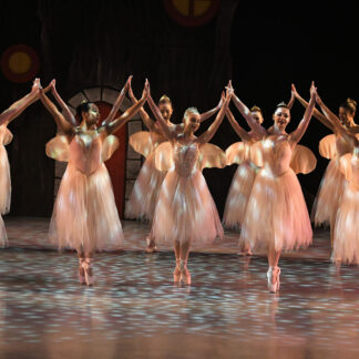 Romantic Tutu, Pink