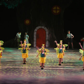 Forest Fairies/Pixies