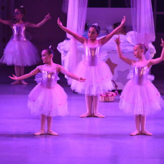 Fairies