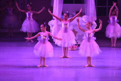 Fairies